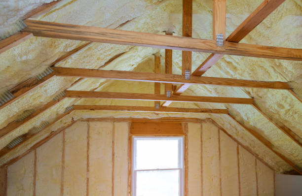 Best Specialized Insulation Services in Laware City, DE