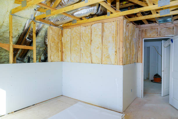 Best Insulation Maintenance and Repair in Laware City, DE