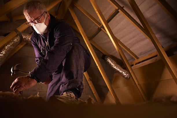 Best Cellulose Insulation in Laware City, DE